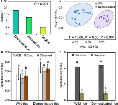 The Structure of Rhizosphere Fungal Communities of Wild and Domesticated Rice: Changes in Diversity and Co-occurrence Patterns